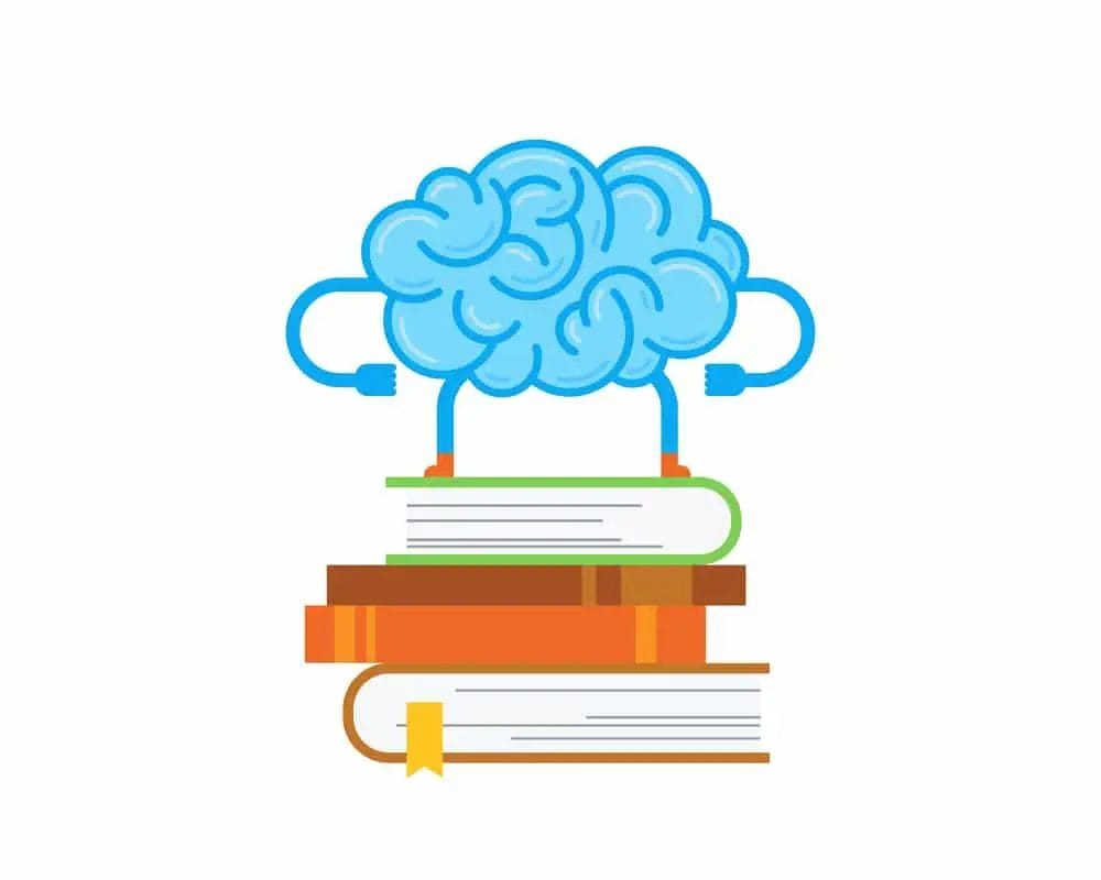 Livre de cerveau - Les meilleurs livres sur le cerveau -développement personnel - le jardin de db 