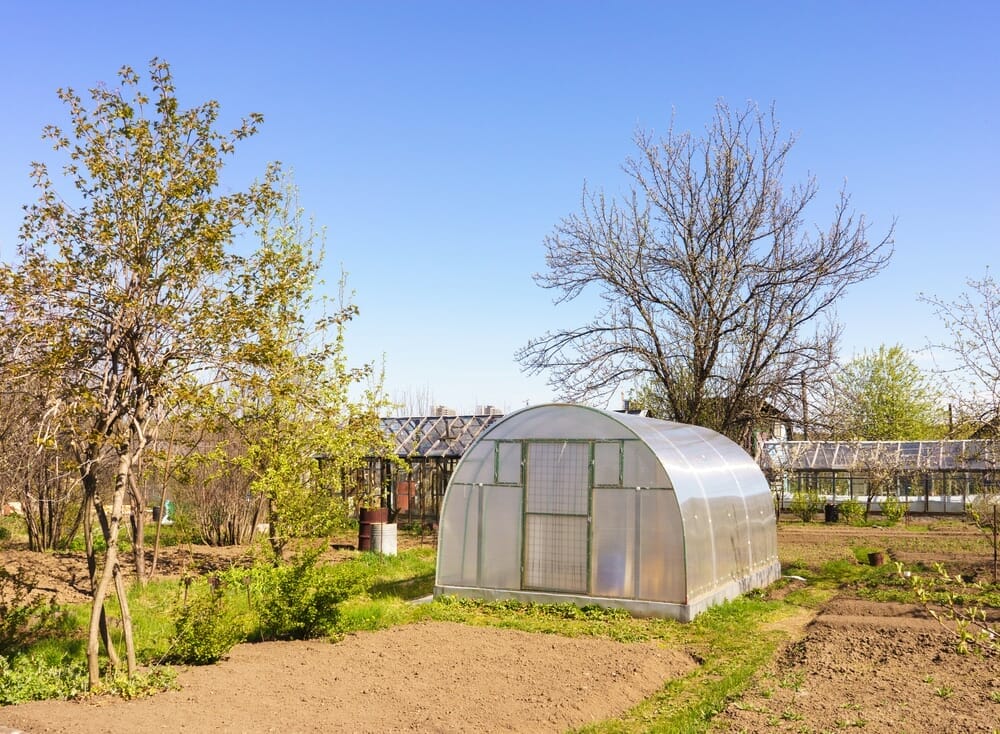 livre sur la permaculture - Les 5 meilleurs livres sur la permaculture - autres - guide - le jardin de DB