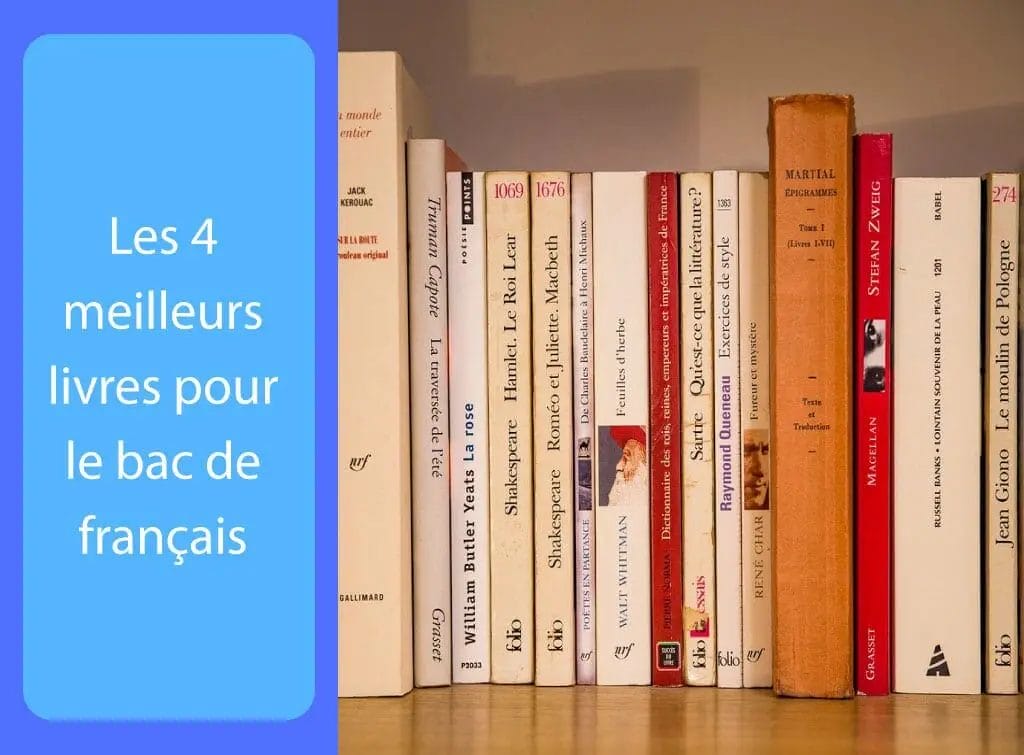 4 meilleurs livres pour le bac de français