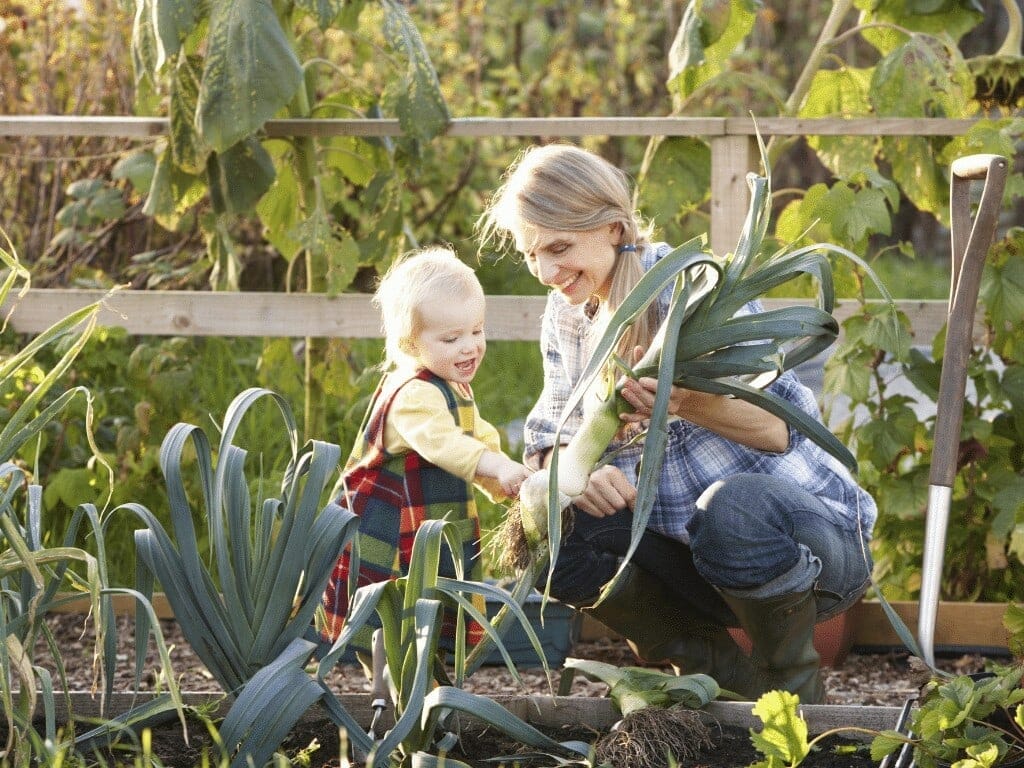 Comment trouver les meilleurs livres sur l'autosuffisance ?