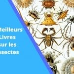 5 meilleurs livres sur les insectes